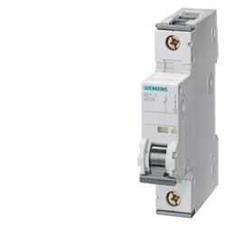 Siemens - SIEMENS OTOMATİK SİGORTA DC 2 A 1FAZ , 10KA 70 MM 4001869226347