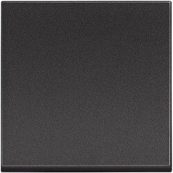 Bticino - BTİCİNO RG4003M2 2 YOLLU ANAHTAR 8005543632291