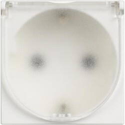 Bticino - BTİCİNO RW4141C ALMAN STANDARTI PRİZ 8005543633137