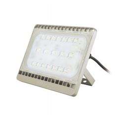 Philips - PHILIPS BVP161 LED60/BEYAZ 70W 220-240V WB GREY 911401809398 8710163304458