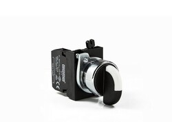 Emas - EMAS CM100S21 C METAL SEÇİCİ (0-1) DÖNÜŞLÜ 22MM BUTON 1NO