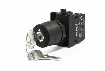 EMAS CP101AA32 C PLASTİK ANAHTARLI ÇİFT DÖNÜŞLÜ 0 POZİSYONUNDA ANAHTARI ÇIKAN 22MM BUTON 2NO 2-0-1