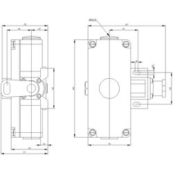 SIEMENS İPLİ ACİL DURUM ŞALTER METAL GÖVDE 2X75 METRE İPLİ 4011209567917 - Thumbnail