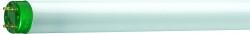 Philips - PHILIPS MASTER FLORESAN AMPUL TL-D ECO 32W/840 4000K SLV/25 871150026462640