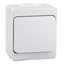 Schneider Electric - SCHNEIDER ELECTRIC NEMLİYER ANAHTAR 1 KUTUPLU 1 YÖNLÜ EKSİKSİZ ÜRÜN YÜZEY GRİ 8690495032017