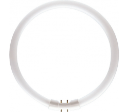 Philips - PHILIPS MASTER TL5 CİRCULAR 22W/840 1CT/10 8711500642219