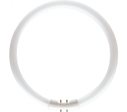 Philips - PHILIPS MASTER TL5 CİRCULAR 60W/840 1CT/10 8711500642615