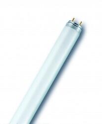 Osram - OSRAM FLORESAN AMPUL TLD 58W/865 6500K 4050300517933